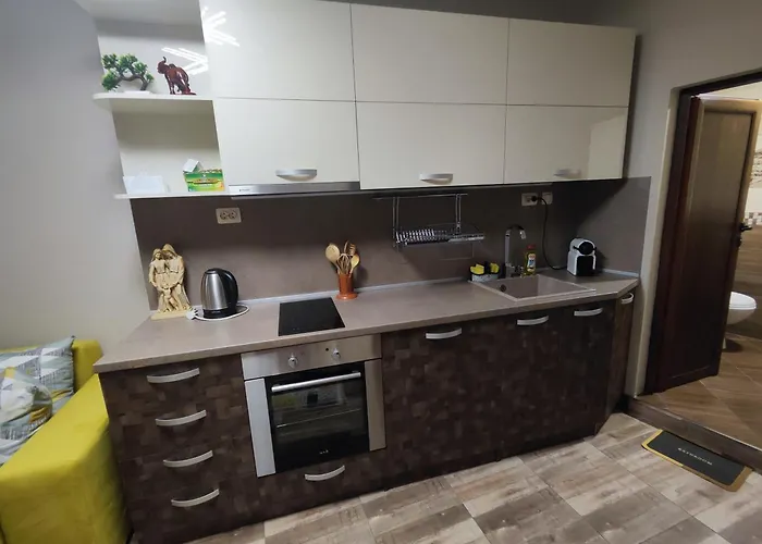 アパートホテル Madini ヴェリングラード